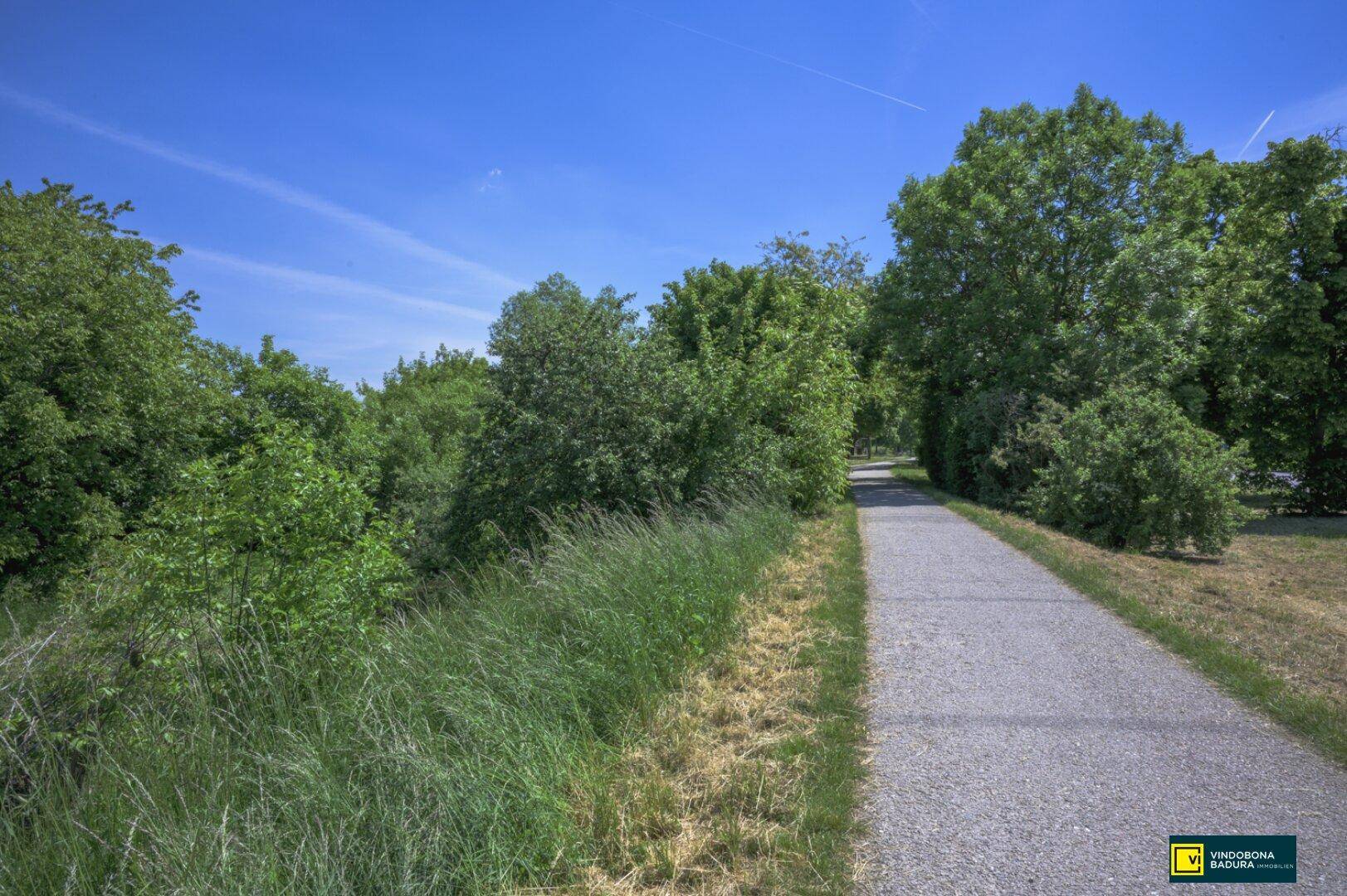 Idyllischer Spazierweg umgeben von dichtem Grün und hohen Bäumen an einem sonnigen Tag.