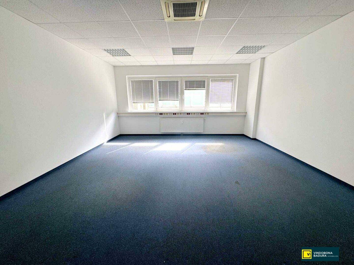 Helles Büro mit blauem Teppichboden, abgehängter Decke und Fenstern mit Jalousien, die Sonnenlicht hereinlassen.