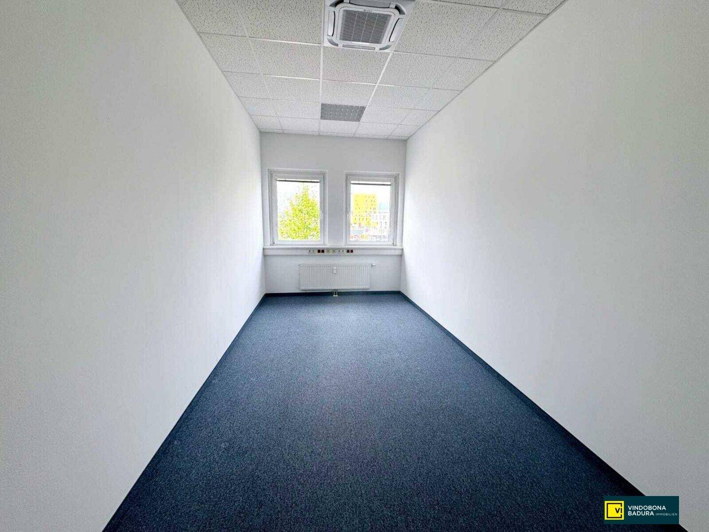 Helles Büro mit blauem Teppichboden, weißen Wänden und zwei Fenstern, ausgestattet mit Deckenplatten.