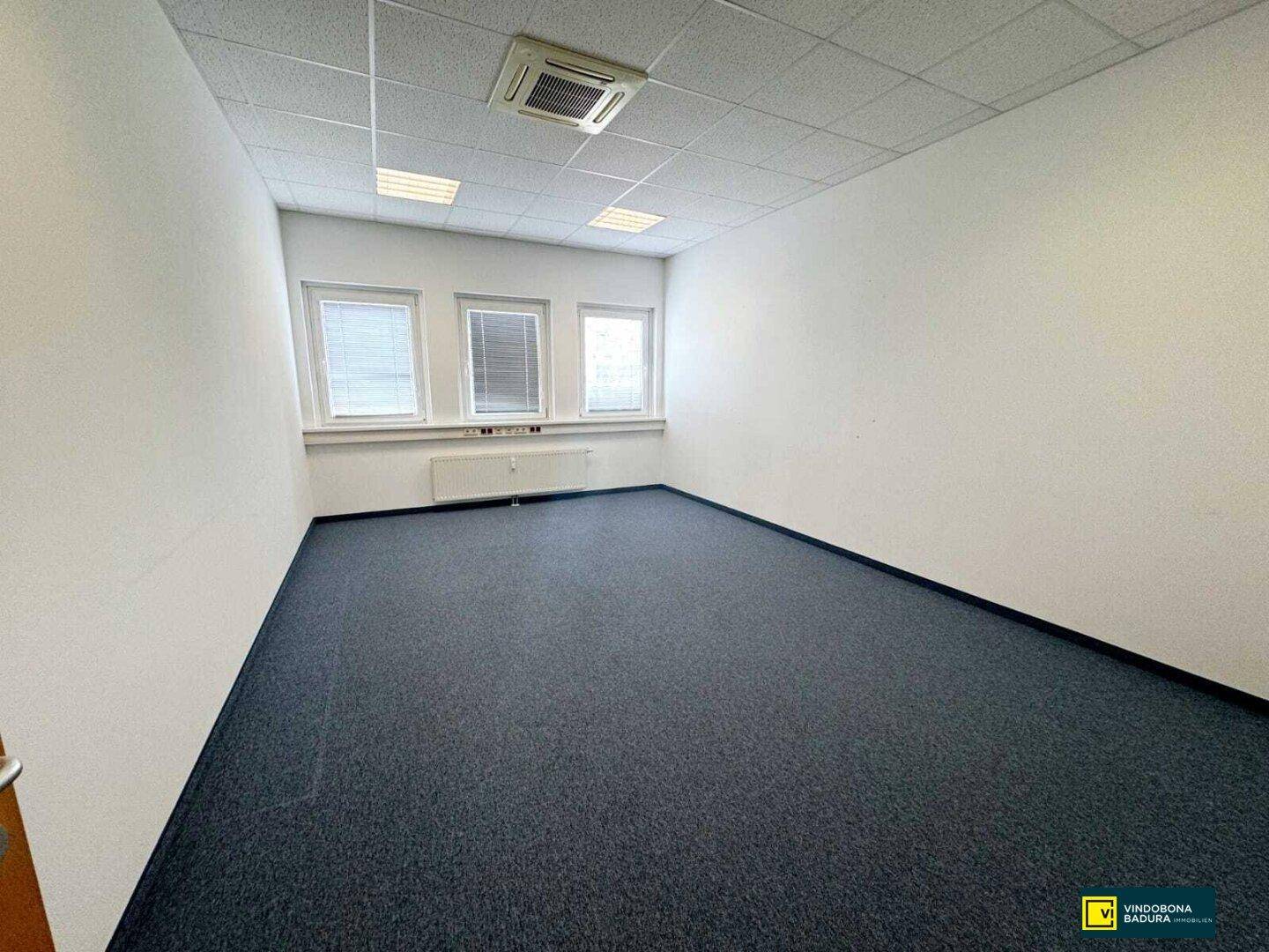 Leeres Büro mit blauem Teppichboden, weißen Wänden und Deckenplatten, beleuchtet durch drei Fenster.