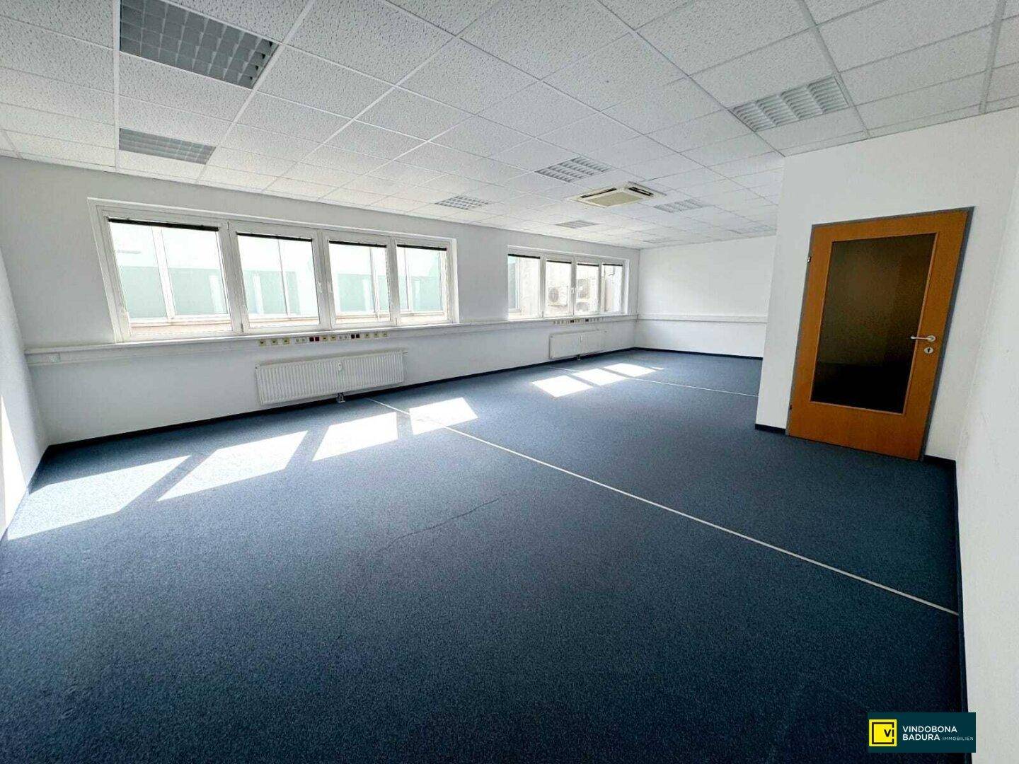 Geräumiges Büro mit blauem Teppichboden, weißen Wänden und vielen Fenstern, inklusive einer Holztür.