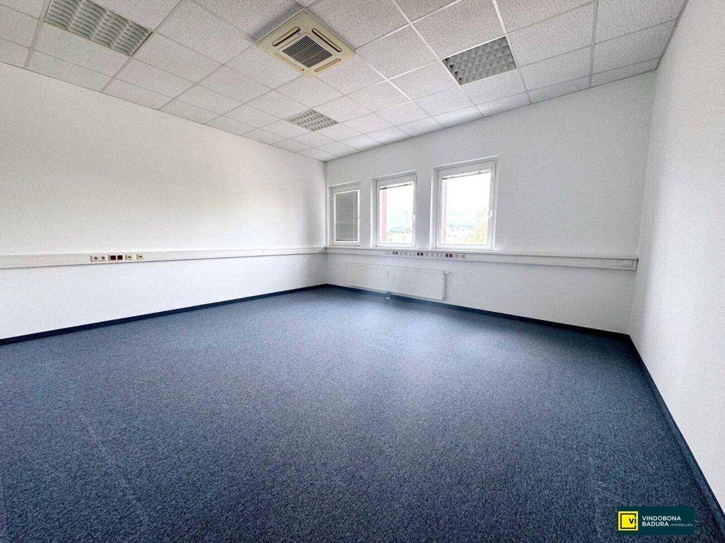 Großes Büro mit blauem Teppichboden, weißen Wänden und Deckenplatten, mit mehreren Fenstern und Wandsteckdosen.