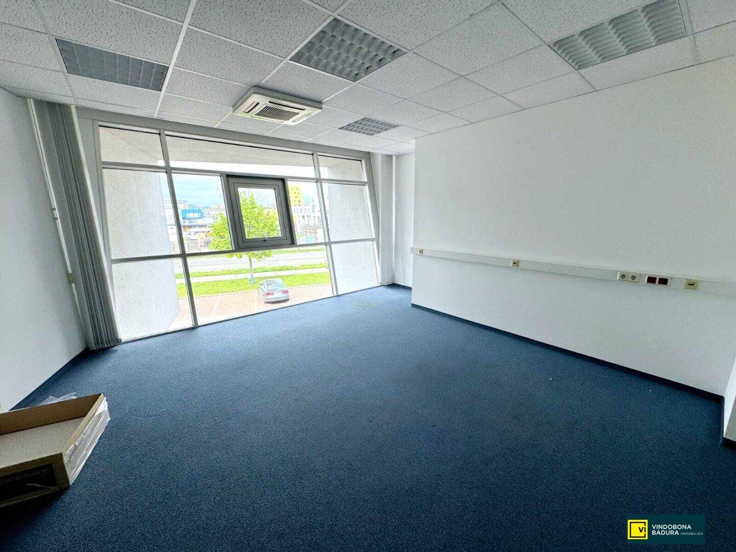 Modernes Büro mit blauem Teppichboden und großer Fensterfront, die viel Licht und eine Aussicht bietet.