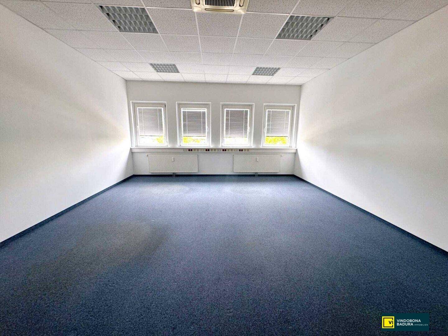 Helles Büro mit blauem Teppichboden, weißen Wänden und Deckenplatten, gut beleuchtet durch vier Fenster.