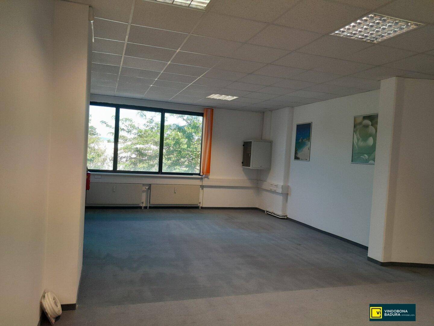 Helles Büro mit großem Fenster, das einen angenehmen Blick ins Grüne und auf Bäume bietet.