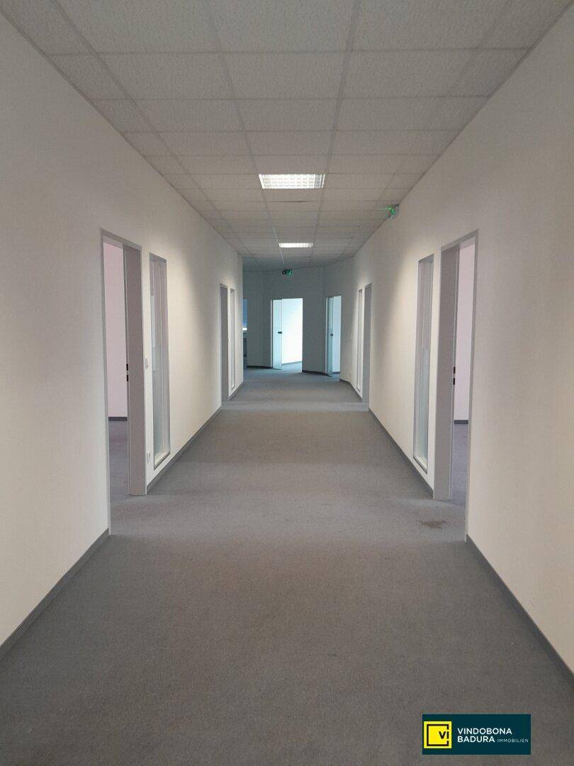 Langer Bürogang mit grauem Teppichboden und zahlreichen Türen, die zu den Büroräumen führen.