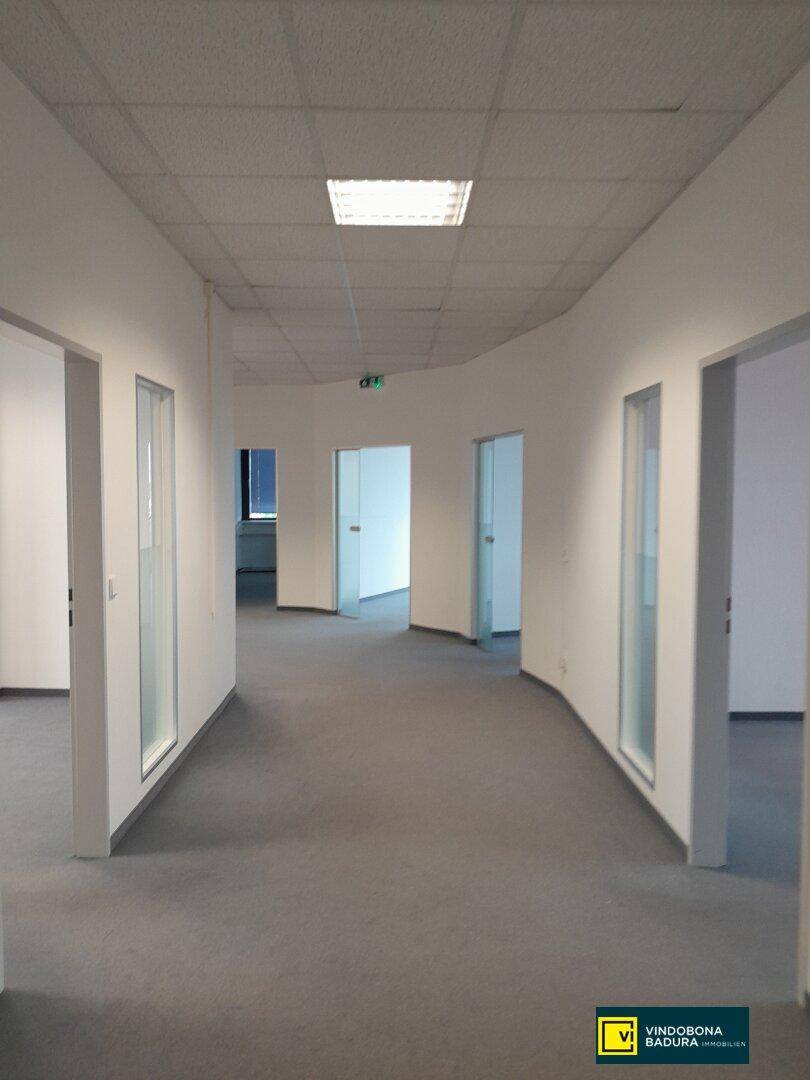 Heller Bürogang mit grauem Teppichboden und mehreren Türen, die zu den einzelnen Büroräumen führen.