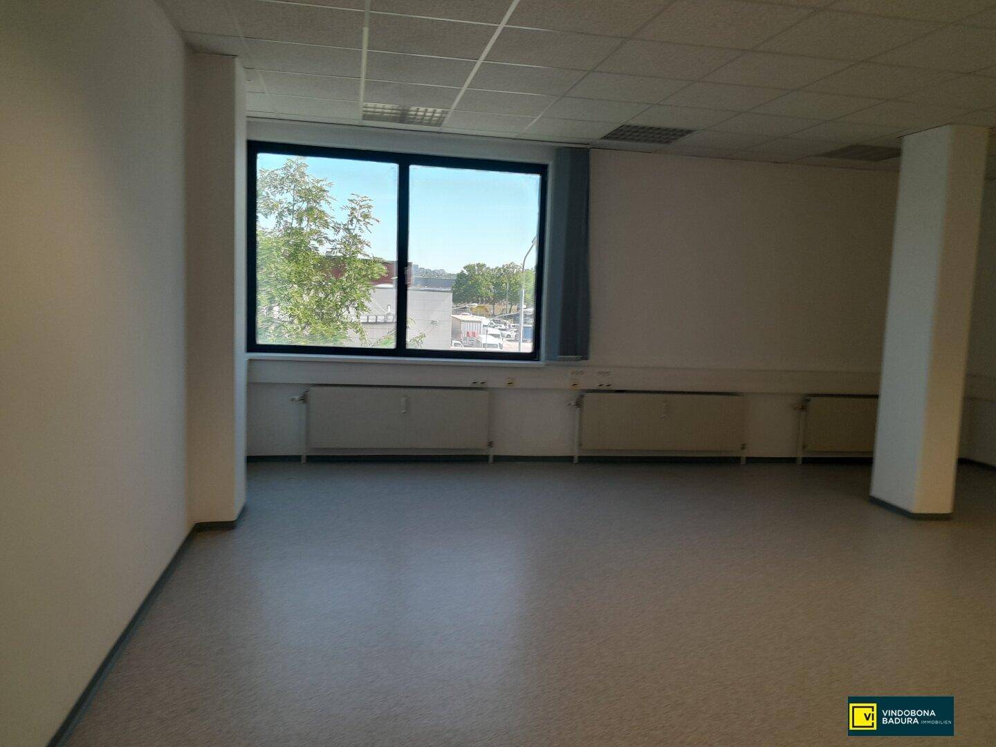 Heller Büroraum mit großen Fenstern, die einen Blick auf Bäume und die Umgebung ermöglichen.
