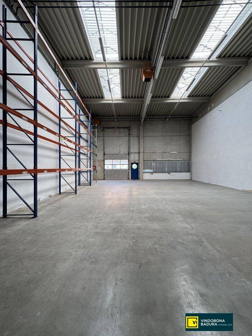Weitläufige Lagerhalle mit hohen Regalsystemen, Betonboden und Oberlichtern für Tageslicht.