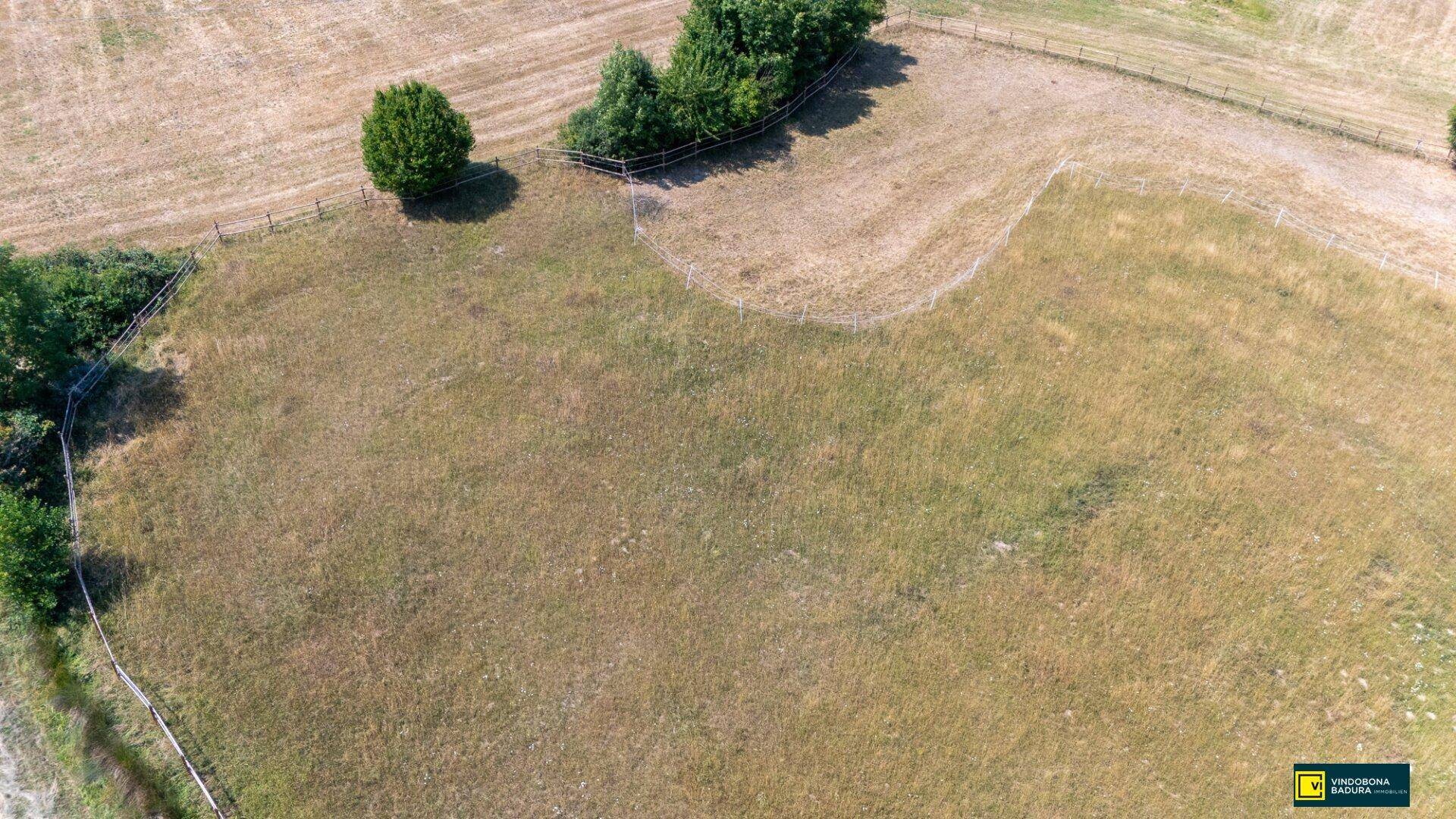 Luftaufnahme einer weitläufigen Wiesenlandschaft mit einzelnen Bäumen und Feldern unter klarem Himmel.