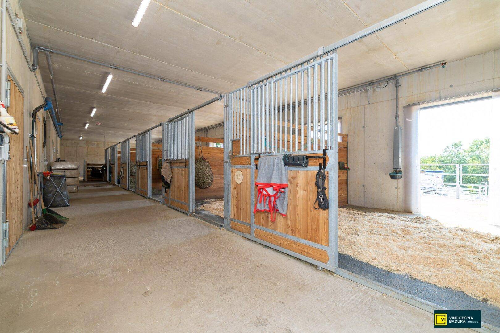 Innenansicht eines modernen Pferdestalls mit geräumigen Boxen, Holzspänen und Blick nach draußen.