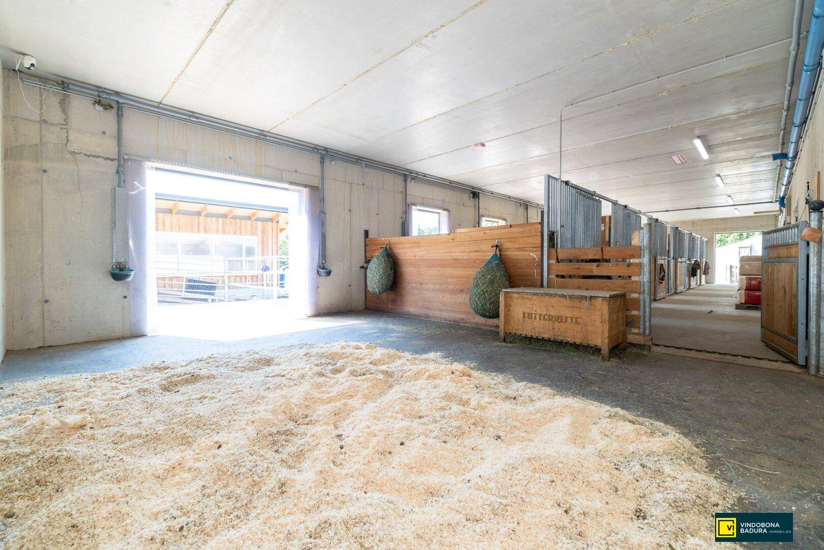 Heller Pferdestall mit breitem Gang, Holzspänen und Heunetzen, offen zur Außenseite.