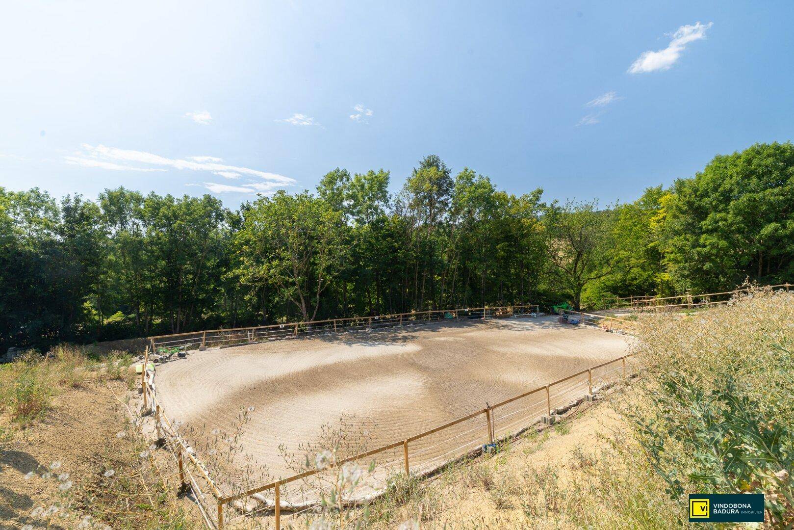 Großer Reitplatz mit Sandboden, umgeben von Bäumen und grüner Natur unter blauem Himmel.
