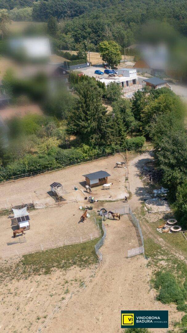 Luftaufnahme des weitläufigen Anwesens mit Stallungen, Reitplatz und Pferden in der Landschaft.