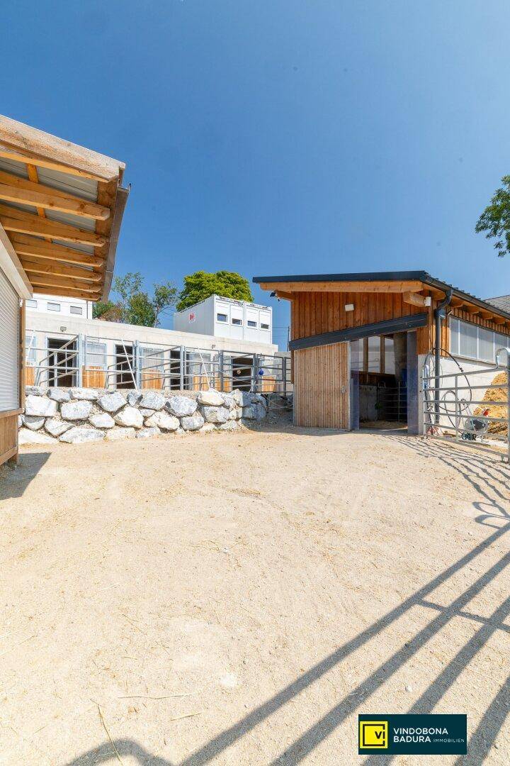 Ansicht des Pferdestalls mit Holzelementen, Steinfundament und weitläufigem Außenbereich bei Sonnenschein.
