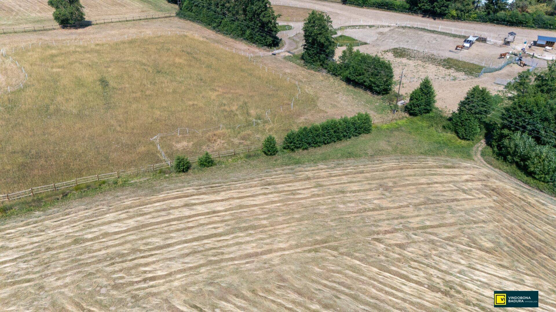 Luftaufnahme einer weitläufigen Ackerlandschaft mit Feldern, Hecken und einem Reitplatz im Hintergrund.