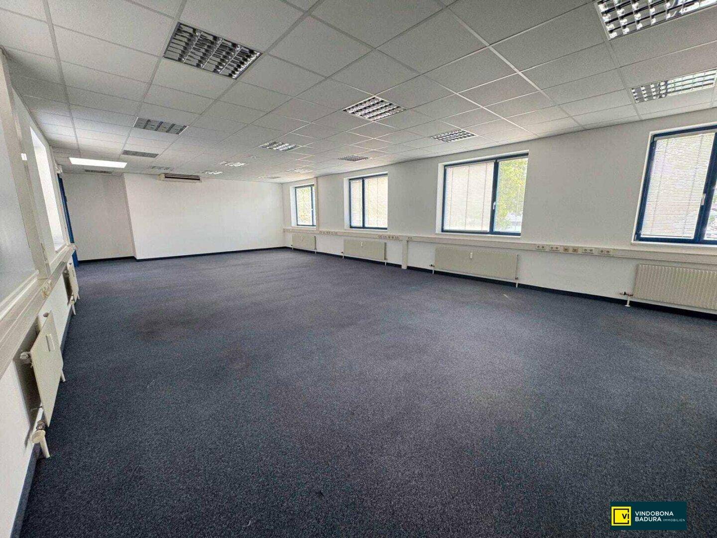 Großes, leeres Büro mit Teppichboden, weißen Wänden und einer Reihe von Fenstern.