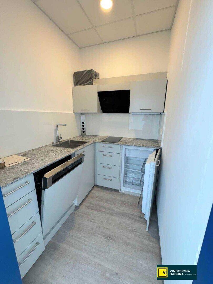 Moderne Küchenzeile mit hellen Schränken, Spülmaschine, Kühlschrank und Induktionskochfeld.