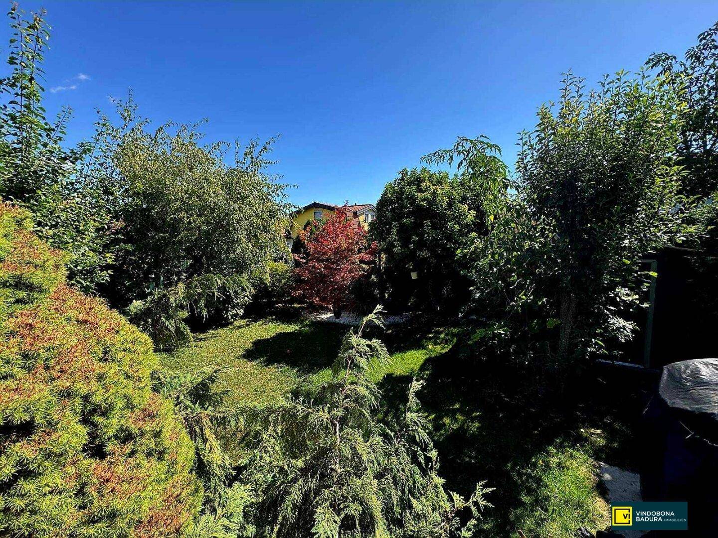 Grüner Garten mit vielfältiger Bepflanzung und einem auffälligen rotblättrigen Baum im Sonnenschein.