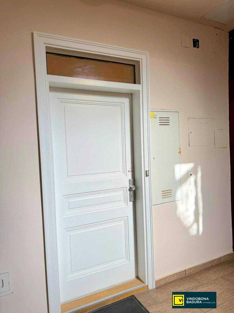Eingangstür einer Wohnung mit Oberlicht und Sicherungskasten an der Wand.