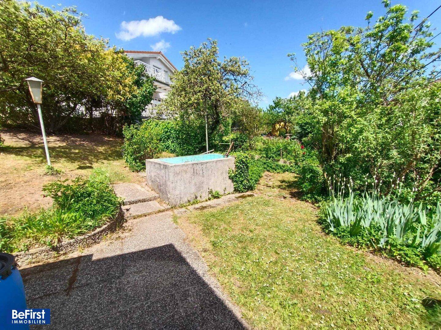 Garten mit kleiner Betonstruktur, umgeben von Bäumen und Sträuchern an einem sonnigen Tag.
