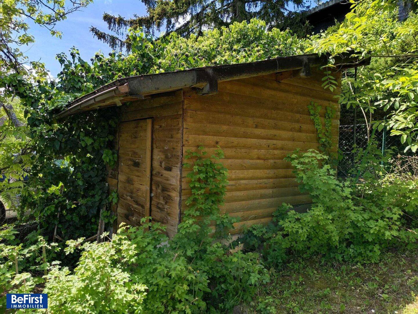 Kleiner Holzschuppen im Garten, umgeben von dichtem Grün und Bäumen.