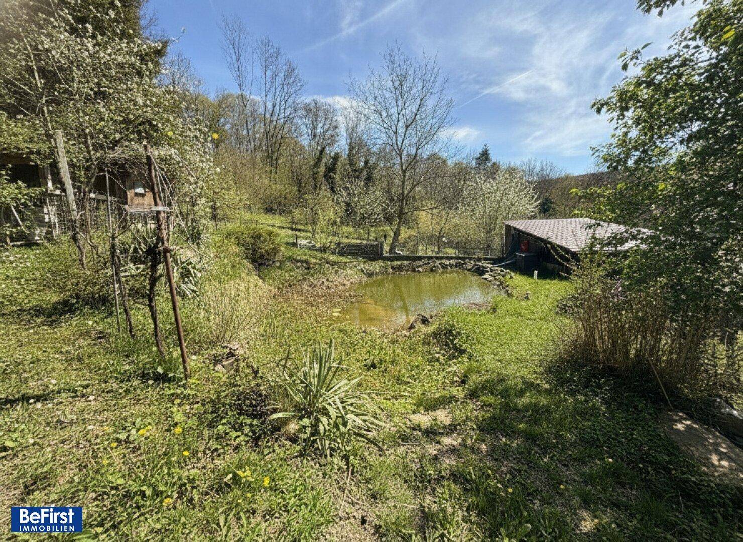 Naturbelassener Gartenbereich mit einem Teich, umgeben von üppiger Vegetation und Bäumen.