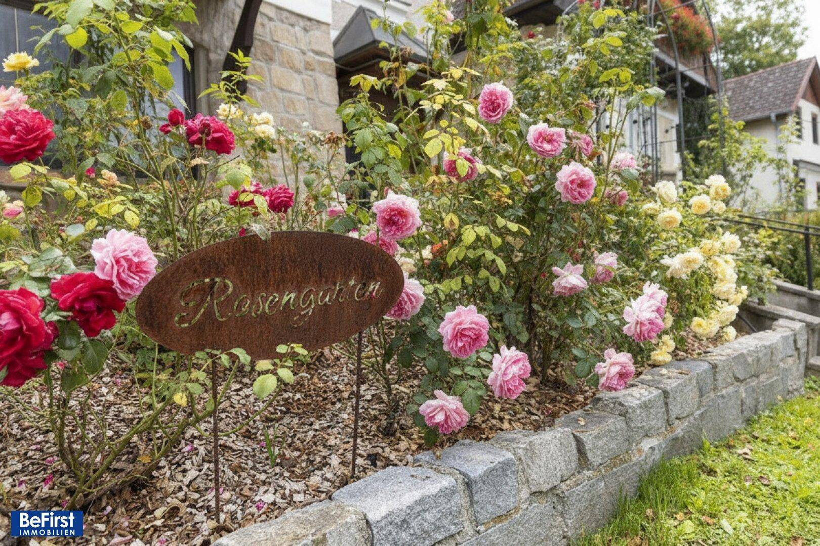 Wunderschöner Rosengarten mit verschiedenen blühenden Rosen und einem dekorativen Schild.