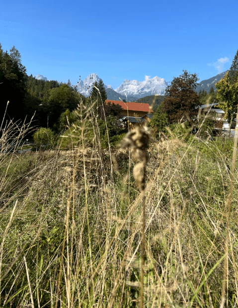 Modernes Chaletprojekt mit Baugenehmigung in Vorderstoder– Baugrundstück mit Bergblick - Visning 4