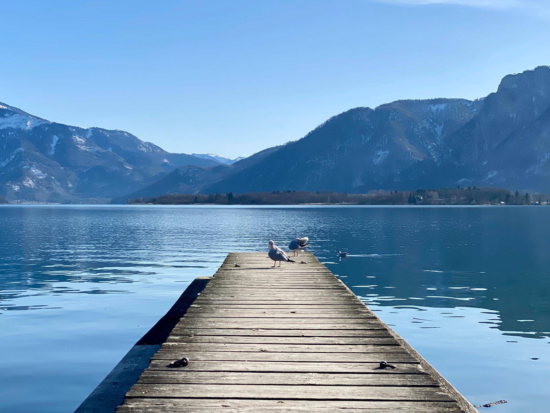 Idyllischer Seeblick mit einem Holzsteg, Möwen und schneebedeckten Bergen im Hintergrund.