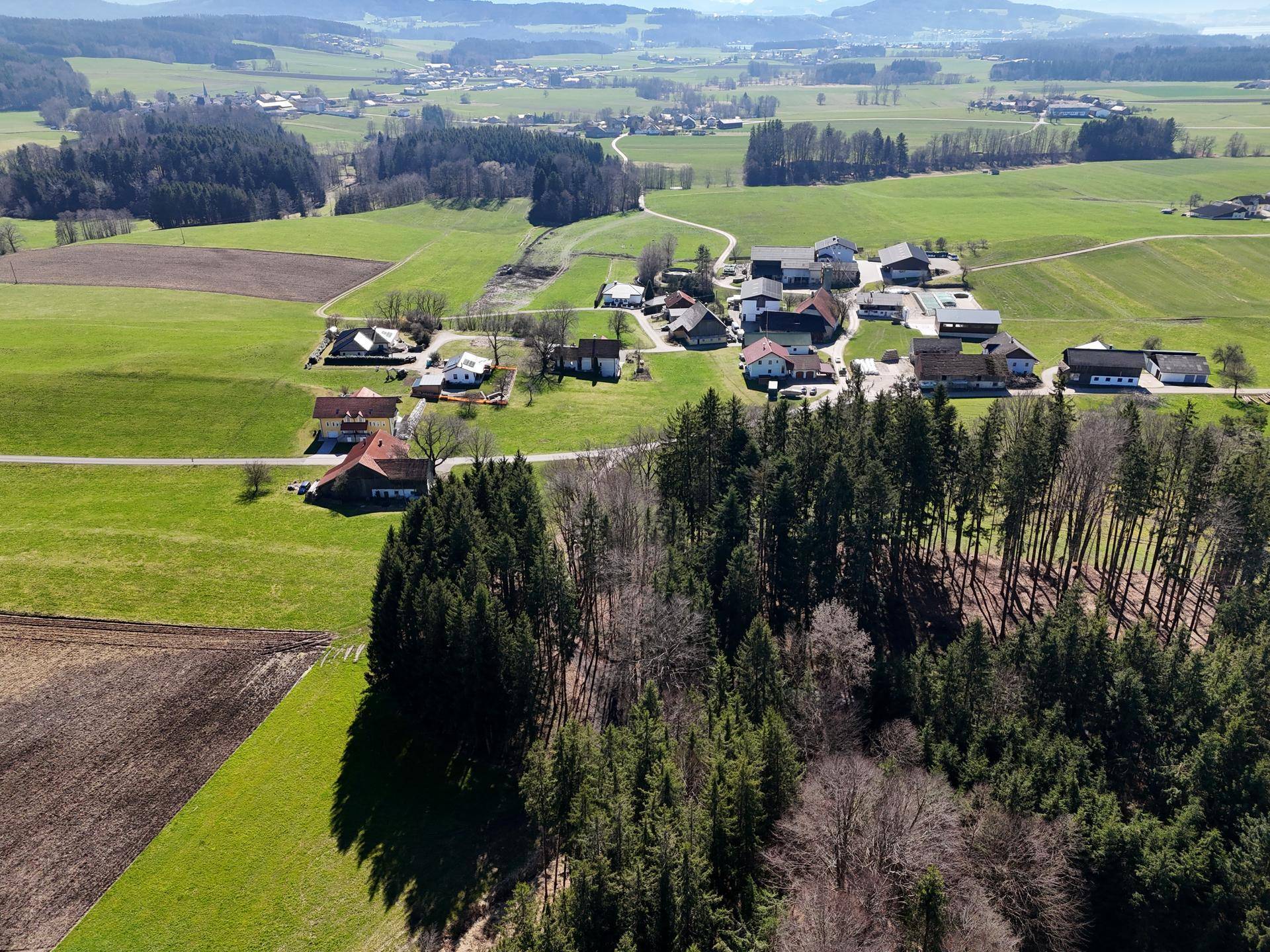 Luftaufnahme eines kleinen Dorfes, umgeben von weiten Feldern und dichten Wäldern.