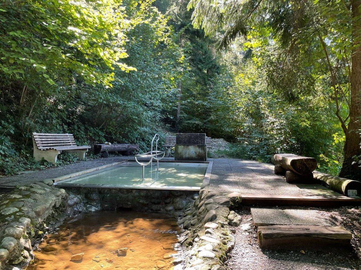Naturnaher Gartenbereich mit Sitzgelegenheiten, Wasserbecken und üppiger Vegetation.