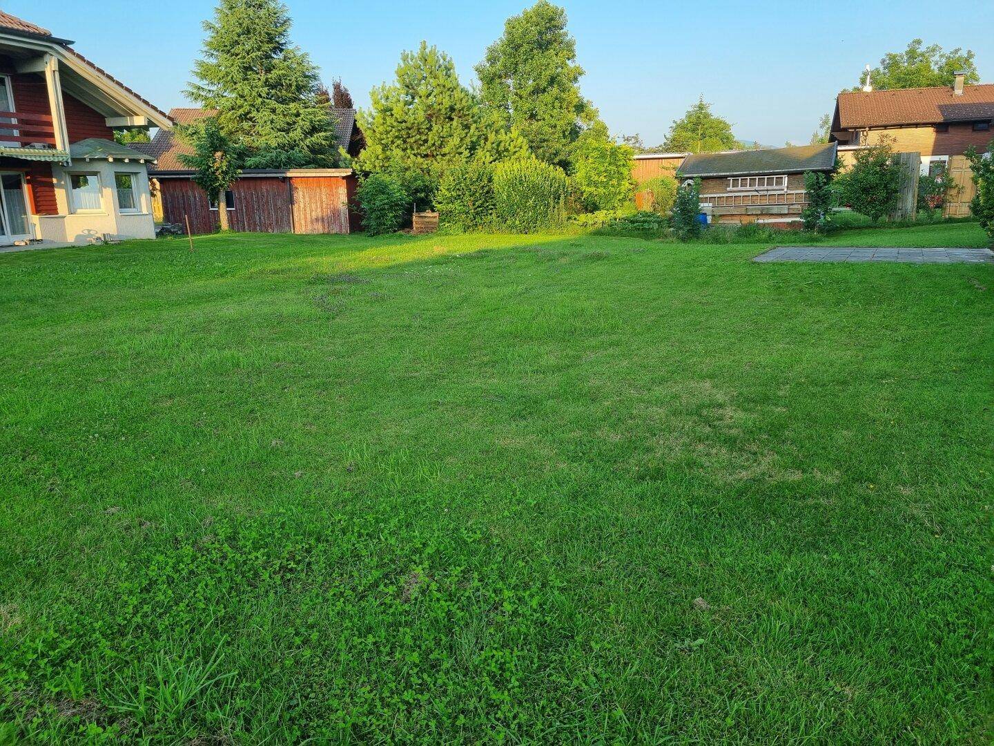 Ausgedehnte Rasenfläche im Garten mit Blick auf Nachbarhäuser und einen Geräteschuppen.