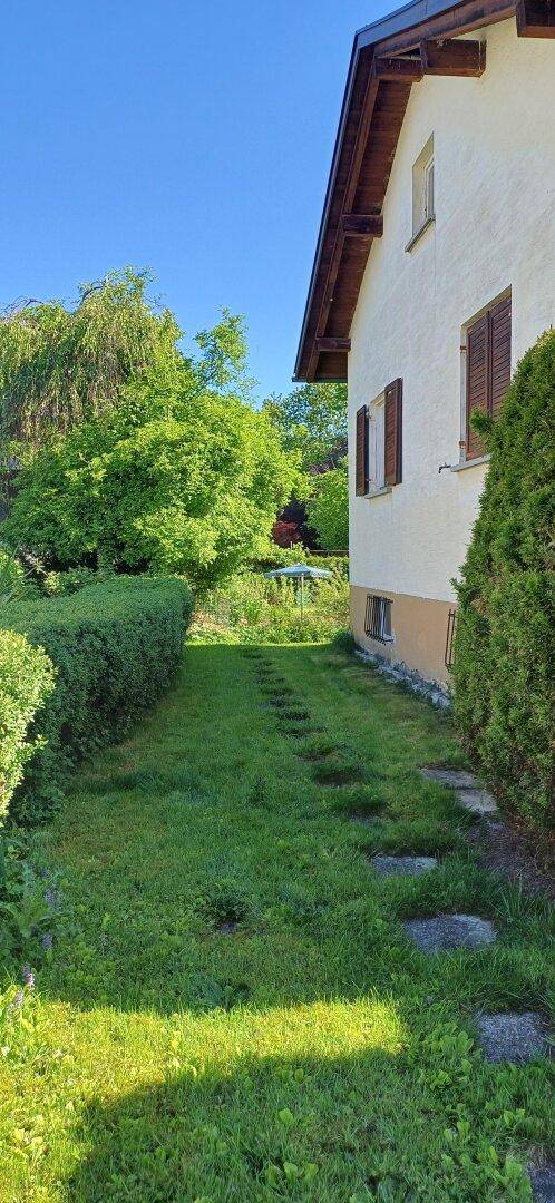 Seitlicher Gartenbereich des Hauses mit grüner Hecke, Rasen und Trittsteinen unter sonnigem Himmel.