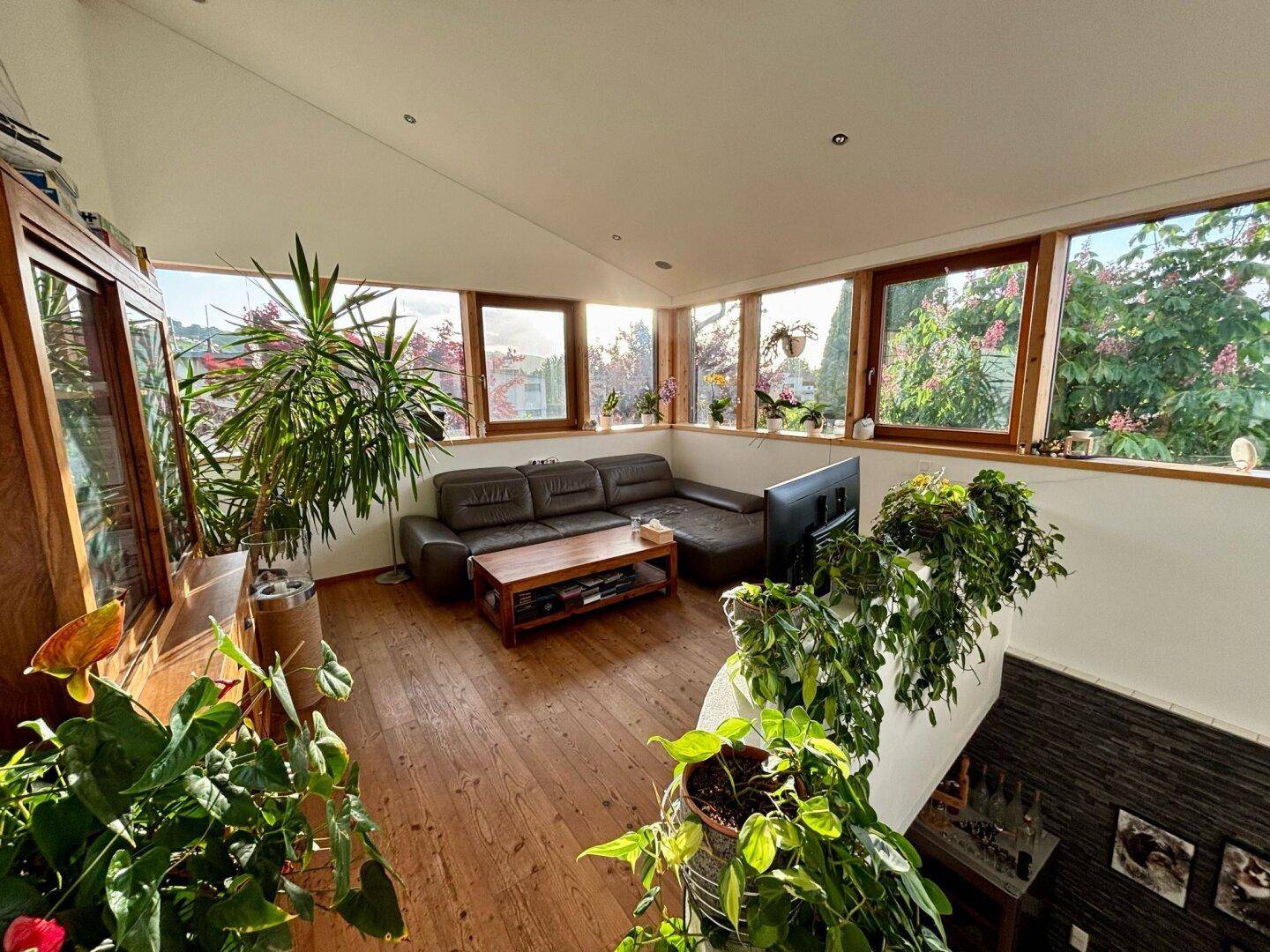 Helles Wohnzimmer mit Holzboden, bequemer Ledercouch und vielen Pflanzen, umgeben von großen Fenstern.