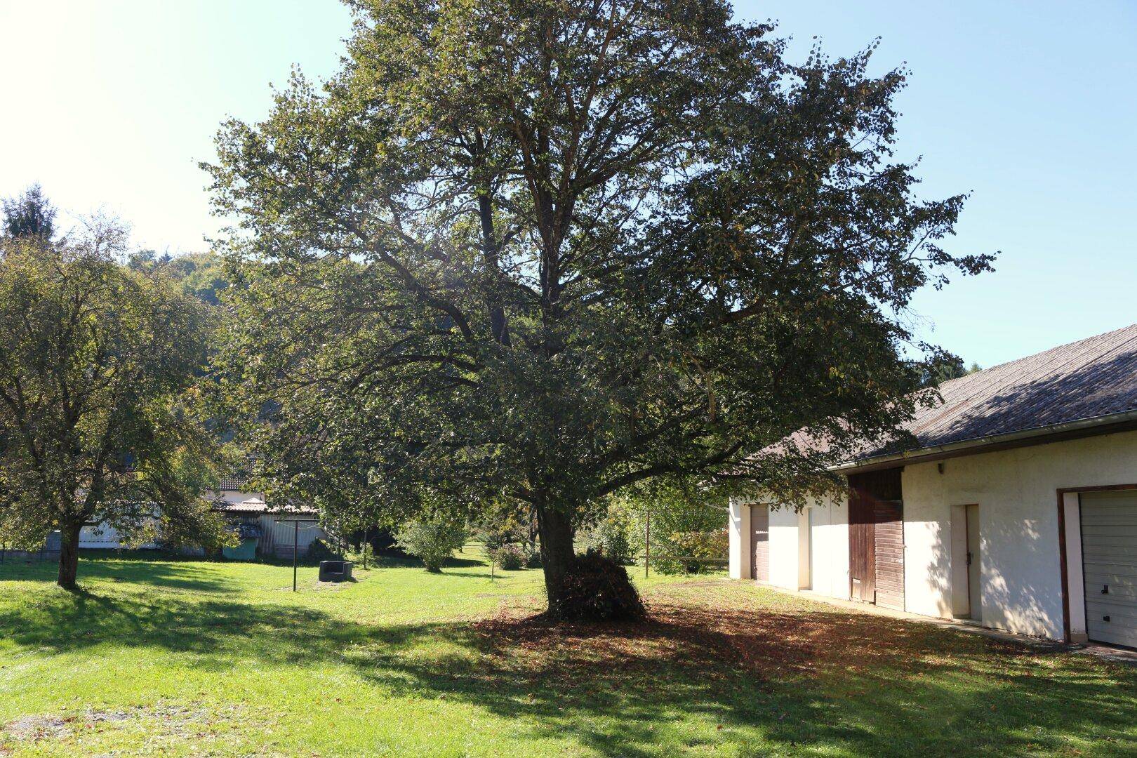 Großer, gepflegter Gartenbereich mit Rasenfläche, alten Bäumen und Nebengebäude.