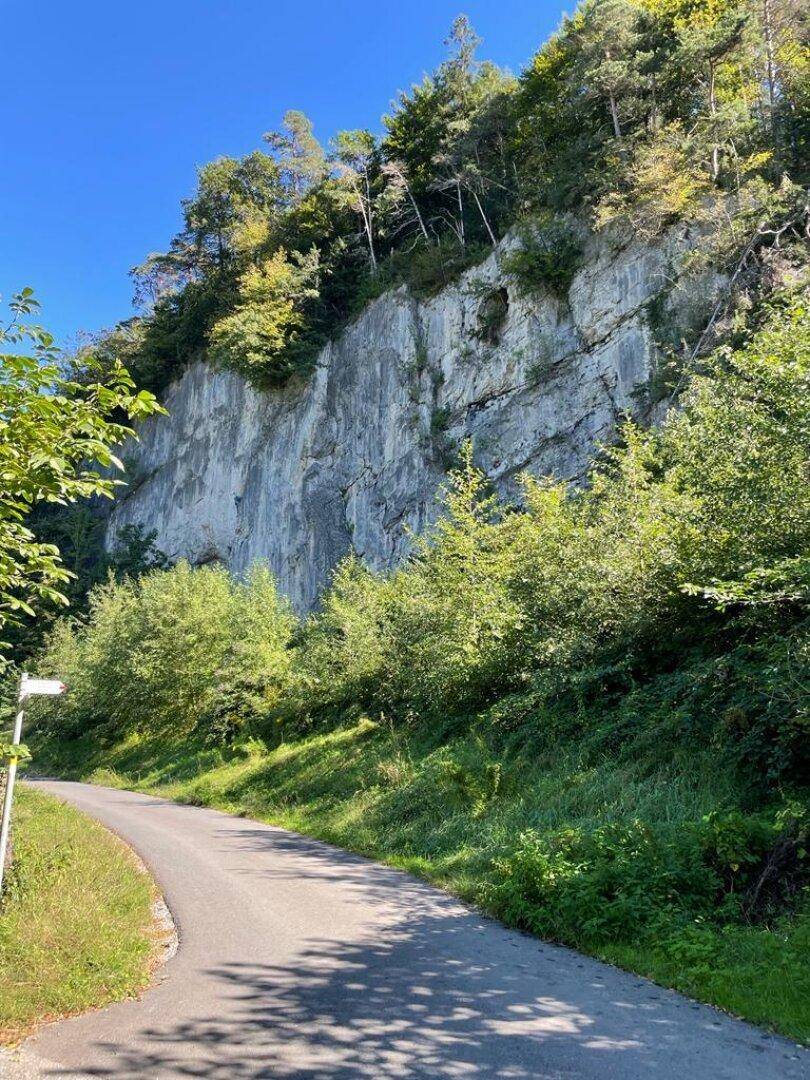 Malerische Landstraße entlang einer Felswand mit dichter Vegetation und Bäumen.