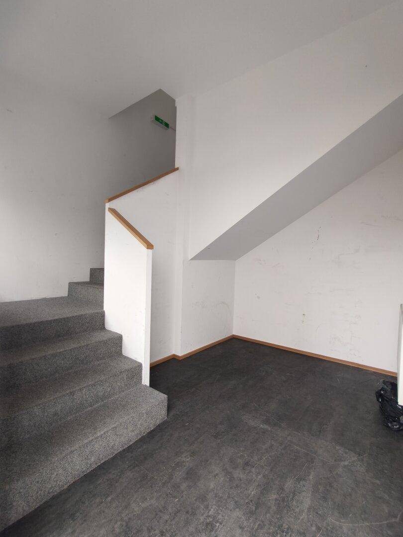 Treppenhaus mit Teppichboden und angrenzendem Bereich mit dunklem Vinylboden.