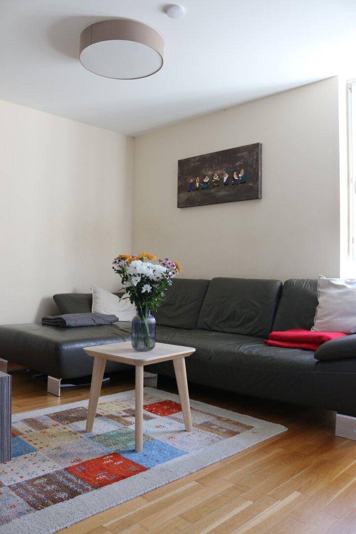 Gemütliches Wohnzimmer mit dunklem Sofa, hellem Holzboden und farbenfrohem Teppich.