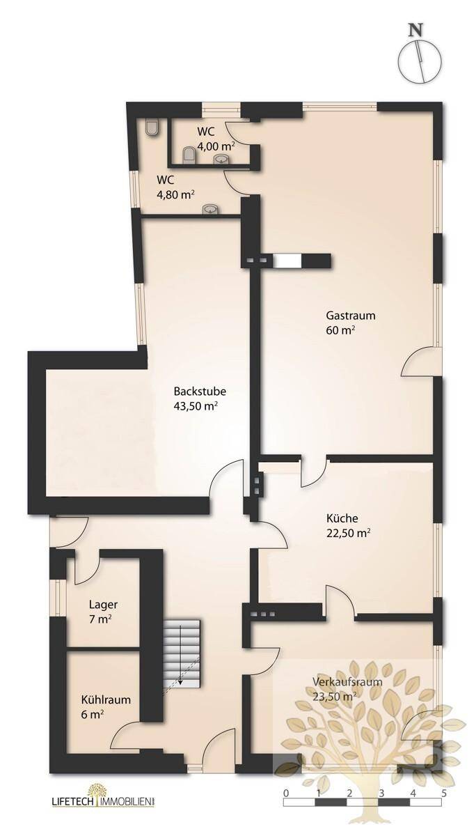 Grundriss EG