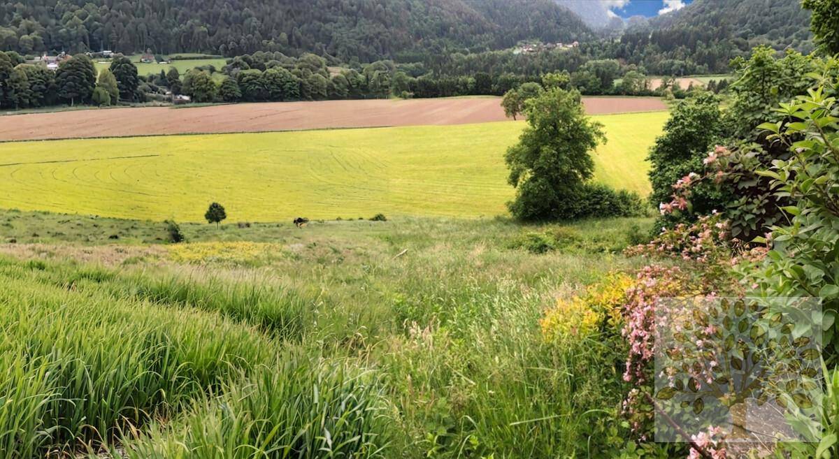 Weitläufige grüne Wiesen und Felder mit Bäumen, umgeben von bewaldeten Hügeln.