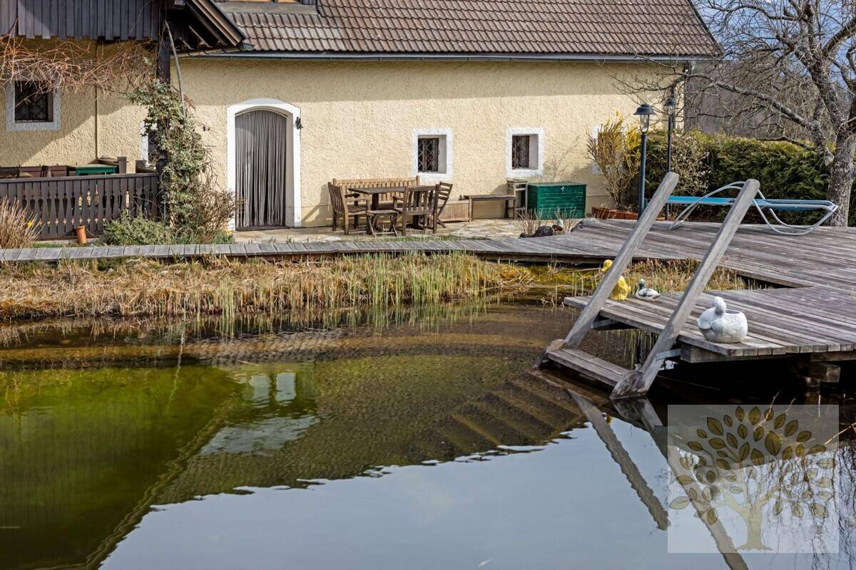 Naturteich & eigene Trinkwasserquelle