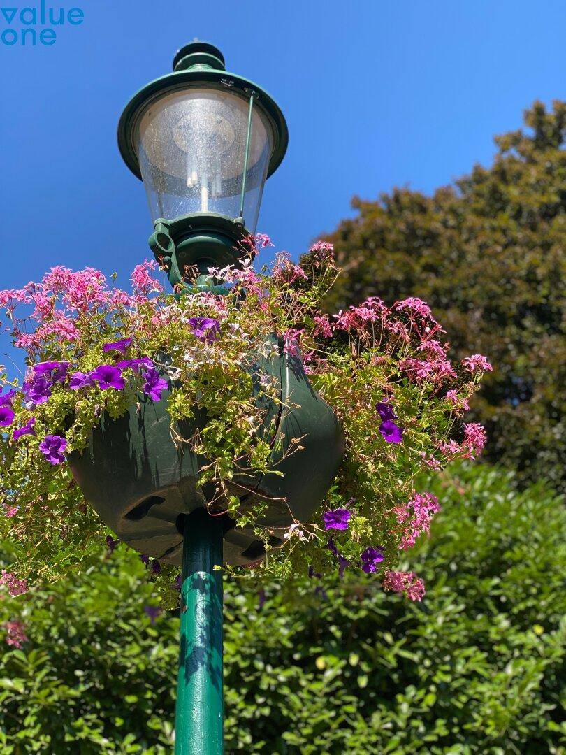Dekorativer Laternenpfahl mit blühenden Blumen in einem öffentlichen Grünbereich.