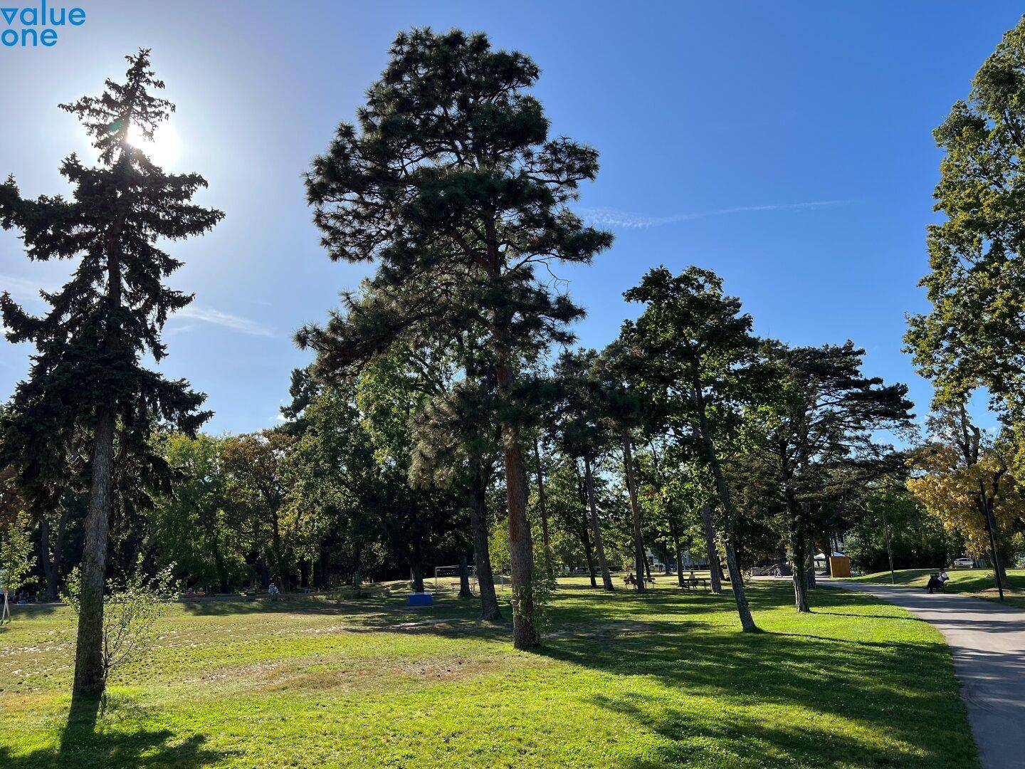 Sonniger Park mit hohen Bäumen und grünen Rasenflächen, ideal zur Erholung.