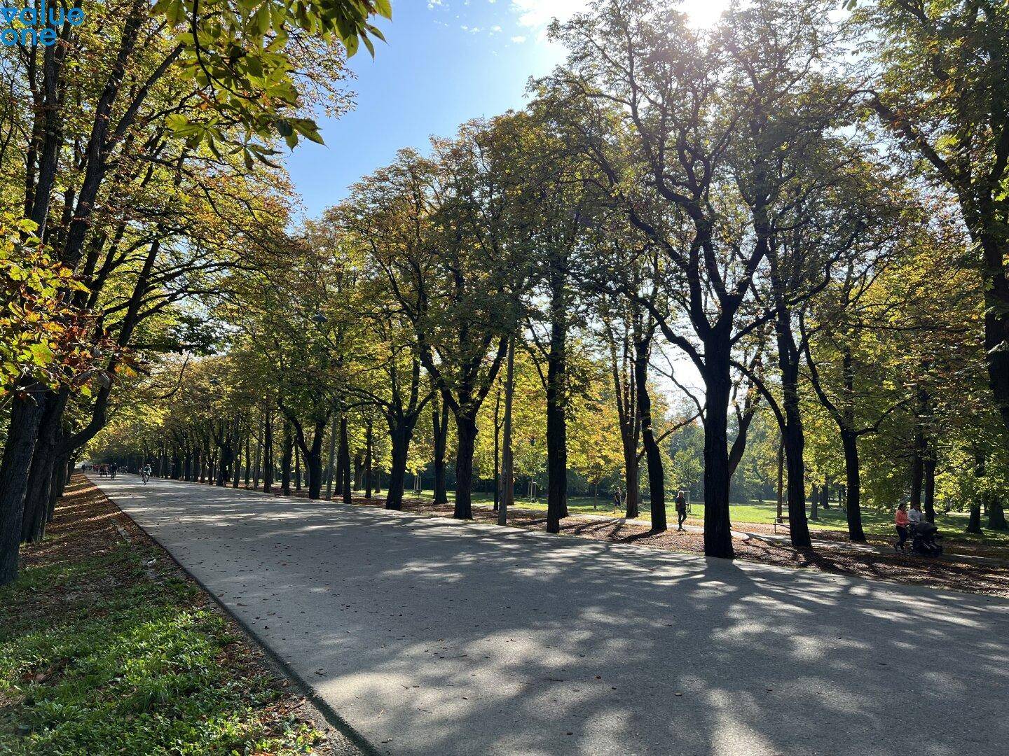 Breiter Parkweg gesäumt von hohen Bäumen mit herbstlichem Laub unter strahlendem Sonnenschein.
