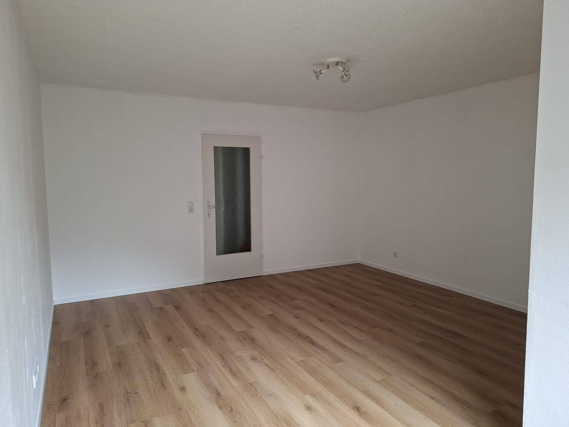 Leerer Wohnraum mit Laminatboden und einer modernen Tür mit Glaseinsatz.