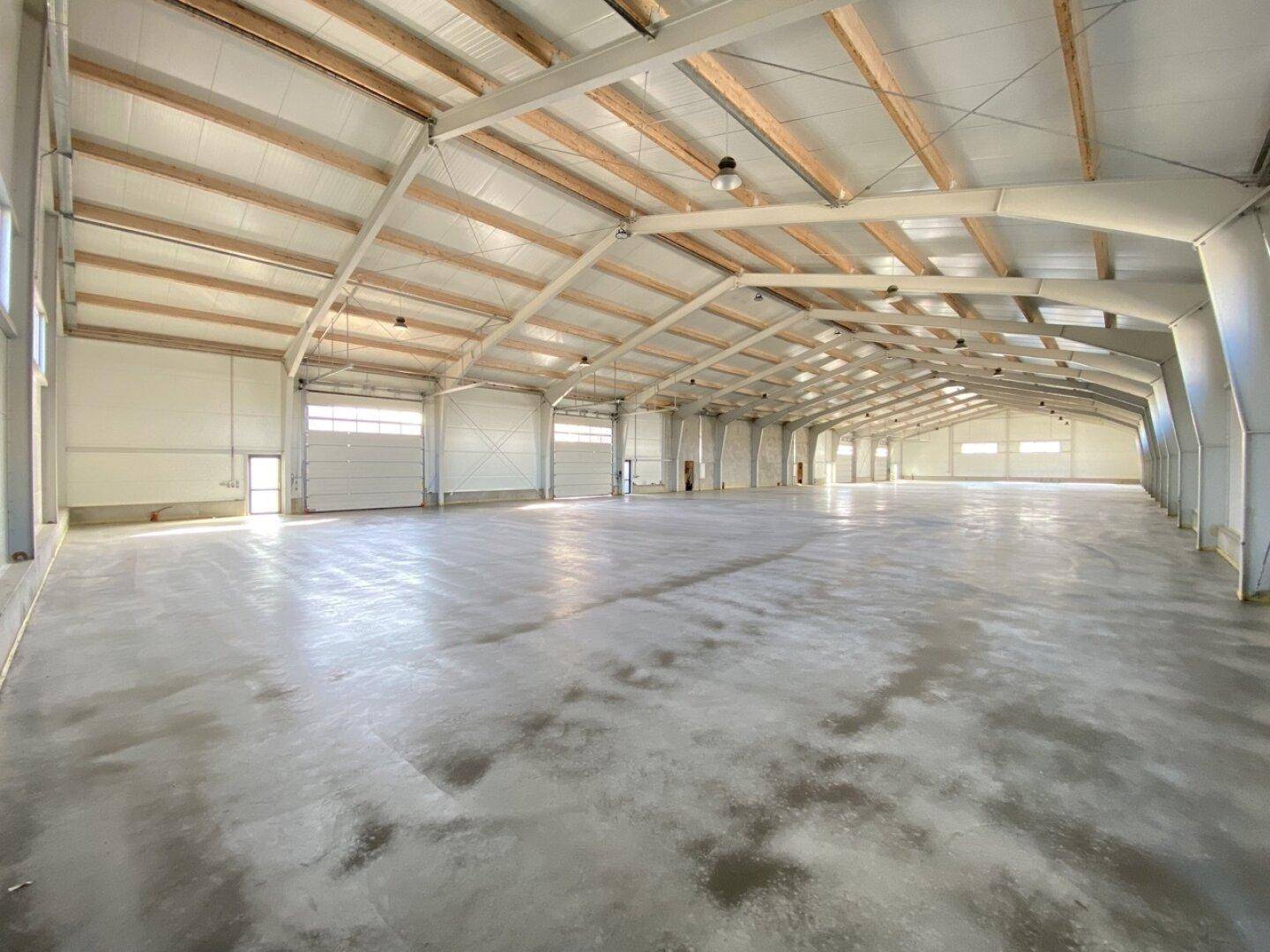Große, helle Lagerhalle mit Betonboden, hohen Decken und mehreren Rolltoren für den Zugang.