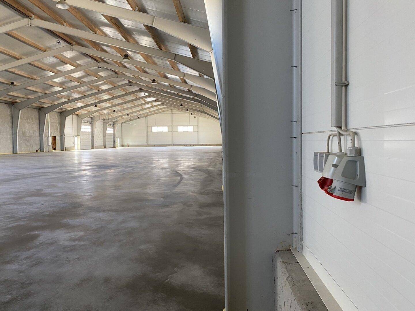 Industrielle Steckdosen und Verkabelung an der Wand einer Lagerhalle, mit Blick auf den Innenraum.