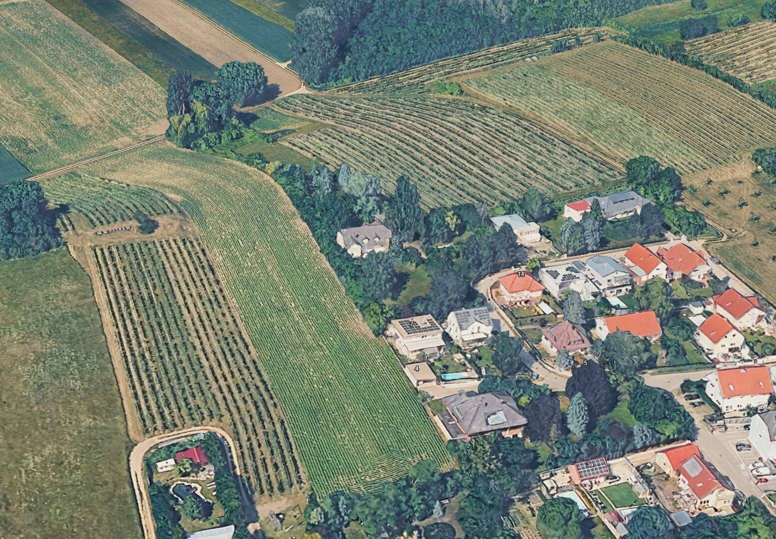 Sonniger Baugrund in Kleinengersdorf bei Bisamberg | Ausblick | Ruhe | Parken - Ansicht 4