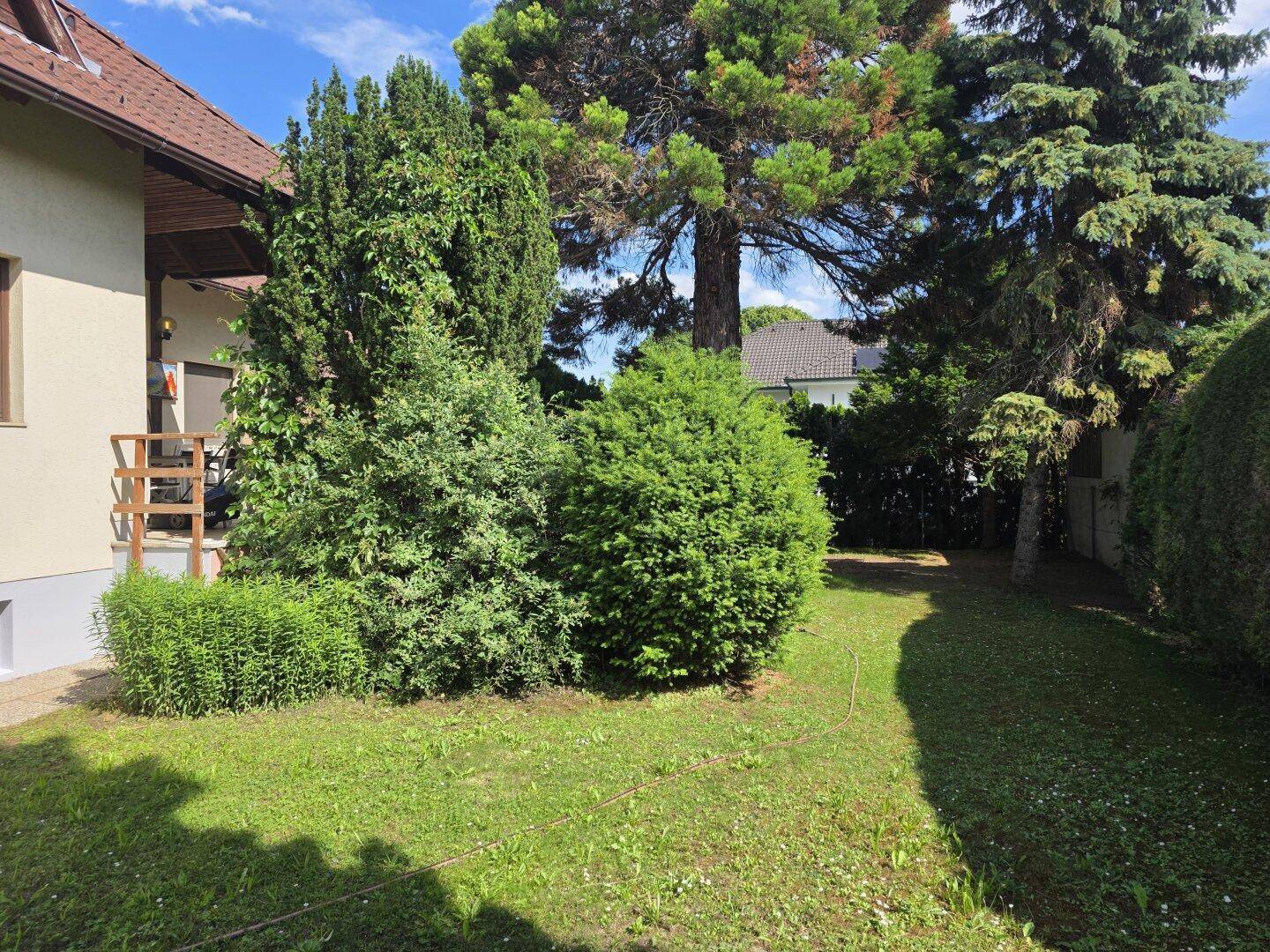 Gepflegter Gartenbereich mit Rasenfläche, verschiedenen Sträuchern und Bäumen neben dem Haus.